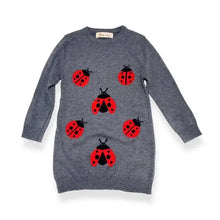 Load image into Gallery viewer, Ladybug Sweater Dress