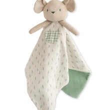 Load image into Gallery viewer, Spring Cottage Lovey