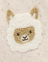 Load image into Gallery viewer, Fiesta Friends Cardigan