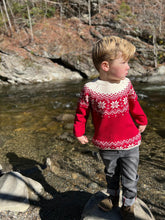 Load image into Gallery viewer, Igloo Sweater
