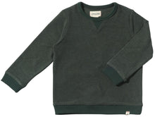 Load image into Gallery viewer, Tarquin Sweatshirt
