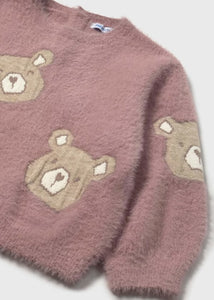 Teddy Bear Sweater