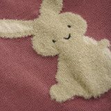 Load image into Gallery viewer, Bunny Sweater Vest
