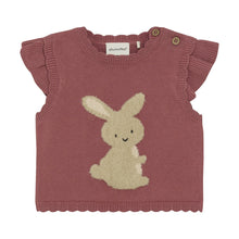 Load image into Gallery viewer, Bunny Sweater Vest
