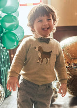 Load image into Gallery viewer, Baby Boy Sweater with Dog
