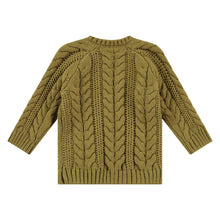 Load image into Gallery viewer, Jungle Baby Boys Sweater
