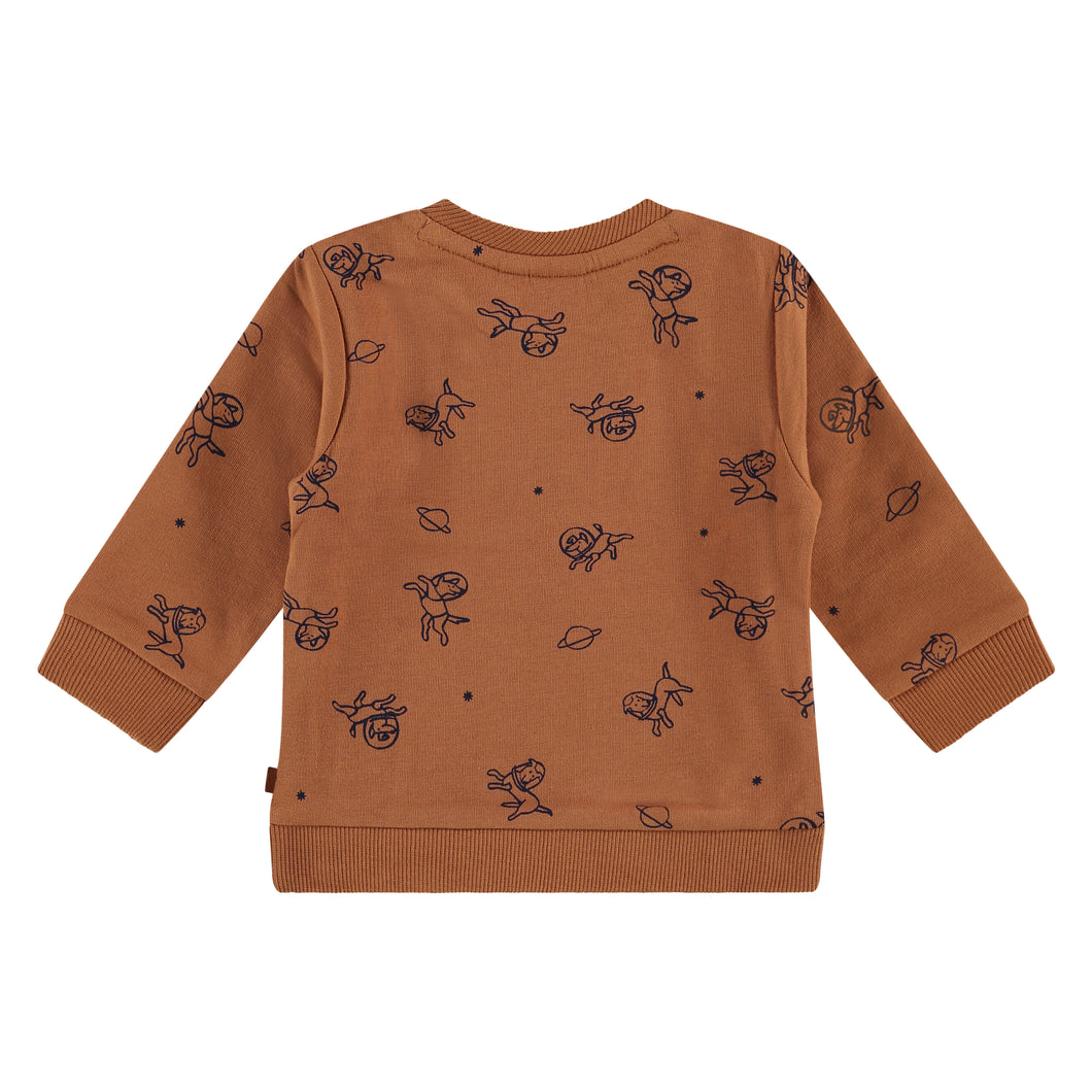 Baby Boys Clay Sweatshirt