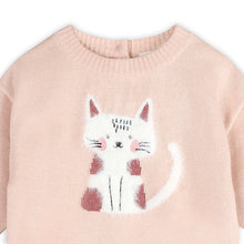 Load image into Gallery viewer, Cat 3D Sweater
