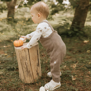 Pumpkins Knit Overall Set