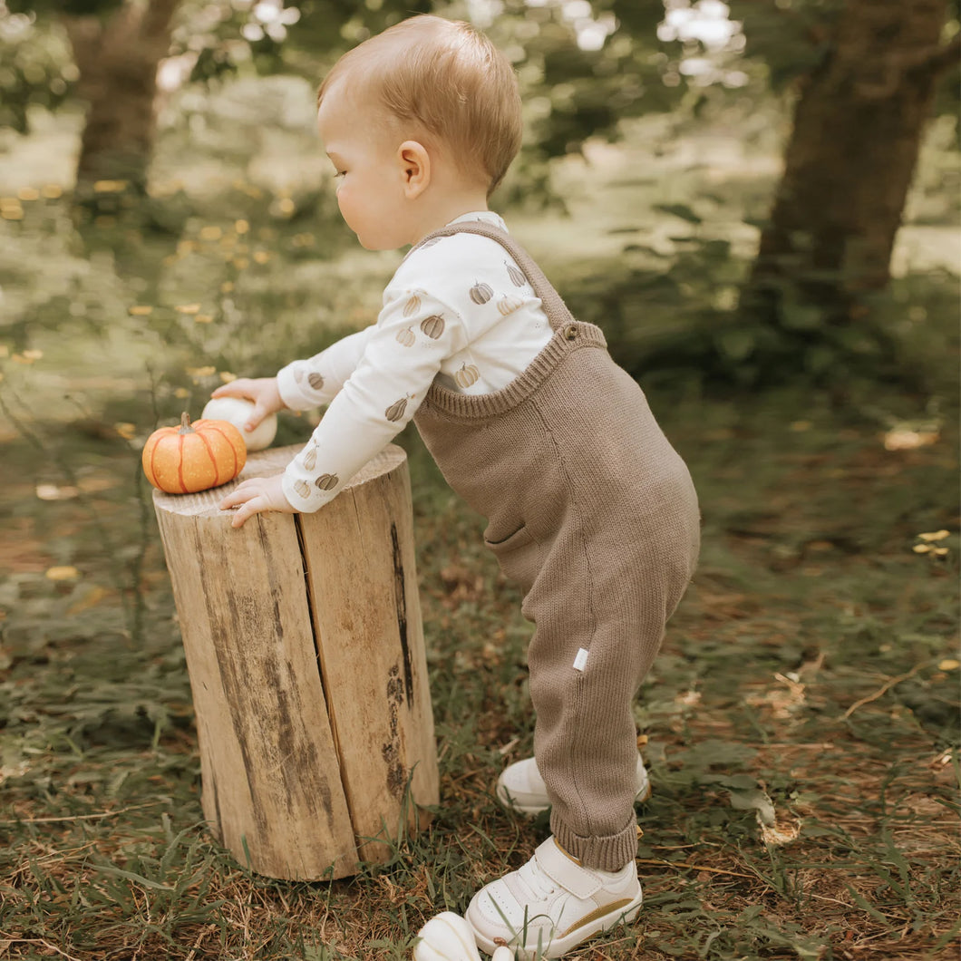 Pumpkins Knit Overall Set