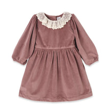 Load image into Gallery viewer, Mauve Velvet Dress
