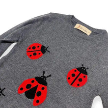 Load image into Gallery viewer, Ladybug Sweater Dress
