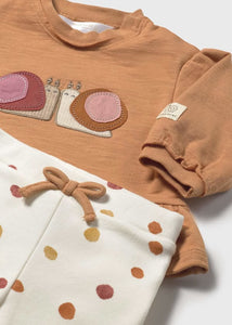 Baby Girl Sweater Set