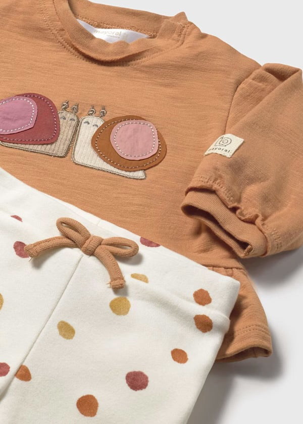 Baby Girl Sweater Set