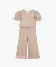 Load image into Gallery viewer, Gold Pleated Pant Set
