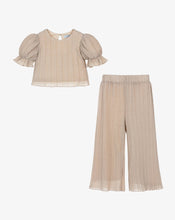 Load image into Gallery viewer, Gold Pleated Pant Set
