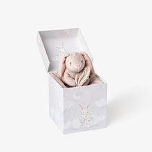 Load image into Gallery viewer, Lovie Velour Blankie
