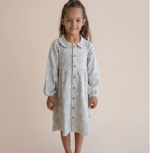 Wildsage Collared Dress