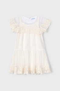 Tulle Embroidered Dress