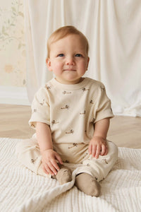 Pima Cotton Wesley Pant - Fly High