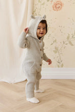 Load image into Gallery viewer, Bear Knit Onepiece - Light Grey Marle

