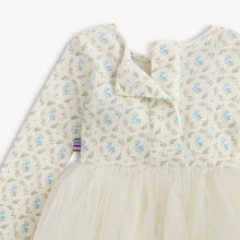 Load image into Gallery viewer, Eloise Tutu Dress
