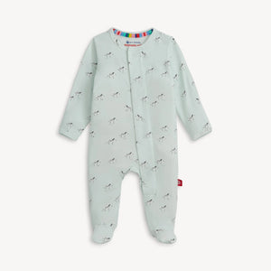 Zebra Footie