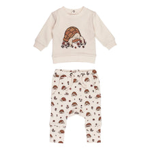 Load image into Gallery viewer, Tiny Tortoise | Organic Sweatshirt &amp; Jogger Set
