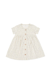 Lola Elodie Dress