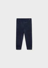 Load image into Gallery viewer, Baby Velvet Leggings
