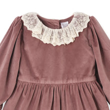 Load image into Gallery viewer, Mauve Velvet Dress
