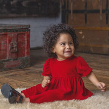 Load image into Gallery viewer, Noella Velvet Organza 2pc Set
