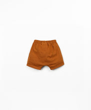 Load image into Gallery viewer, Rust Shorts
