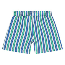 Load image into Gallery viewer, Striped Swim Shorts
