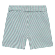 Load image into Gallery viewer, Teal Striped Swim Shorts
