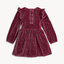 Load image into Gallery viewer, Star Velour Dress
