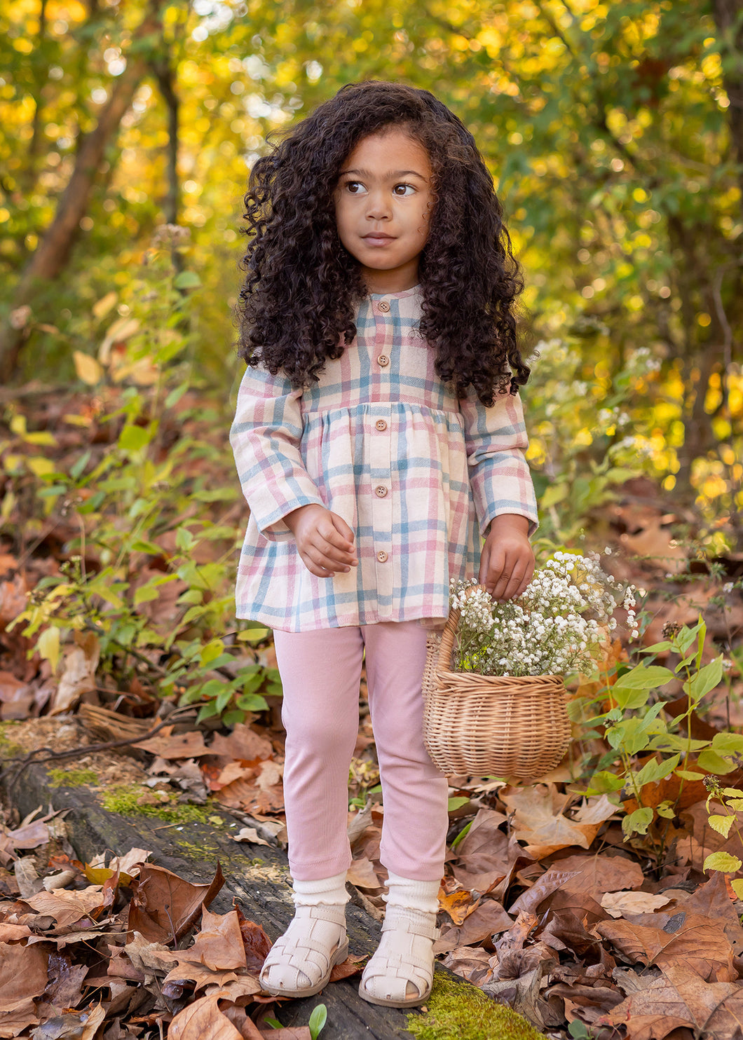 Phoebe Set