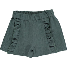 Load image into Gallery viewer, Paisley Shorts
