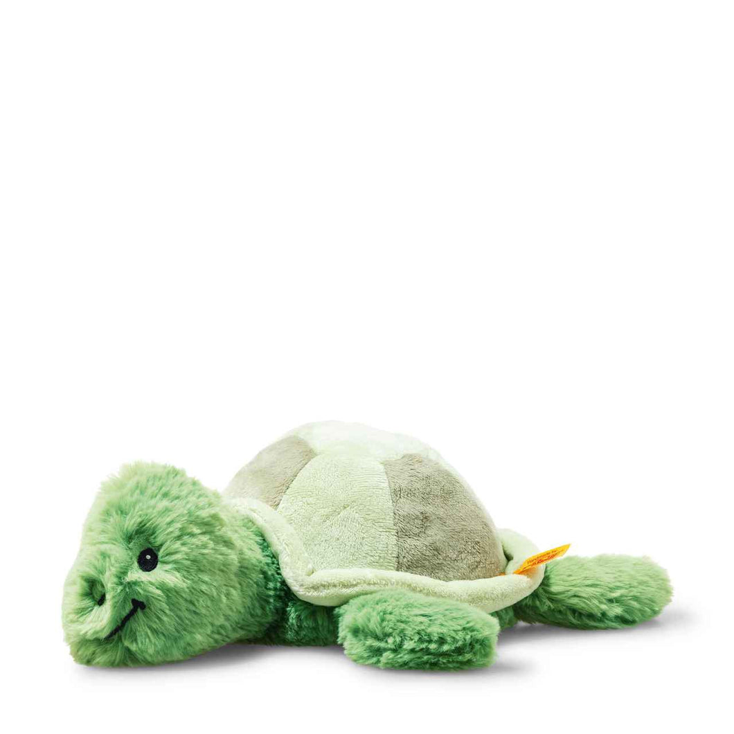 Tuggy Tortoise