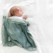 Load image into Gallery viewer, Lush Mini Blanket
